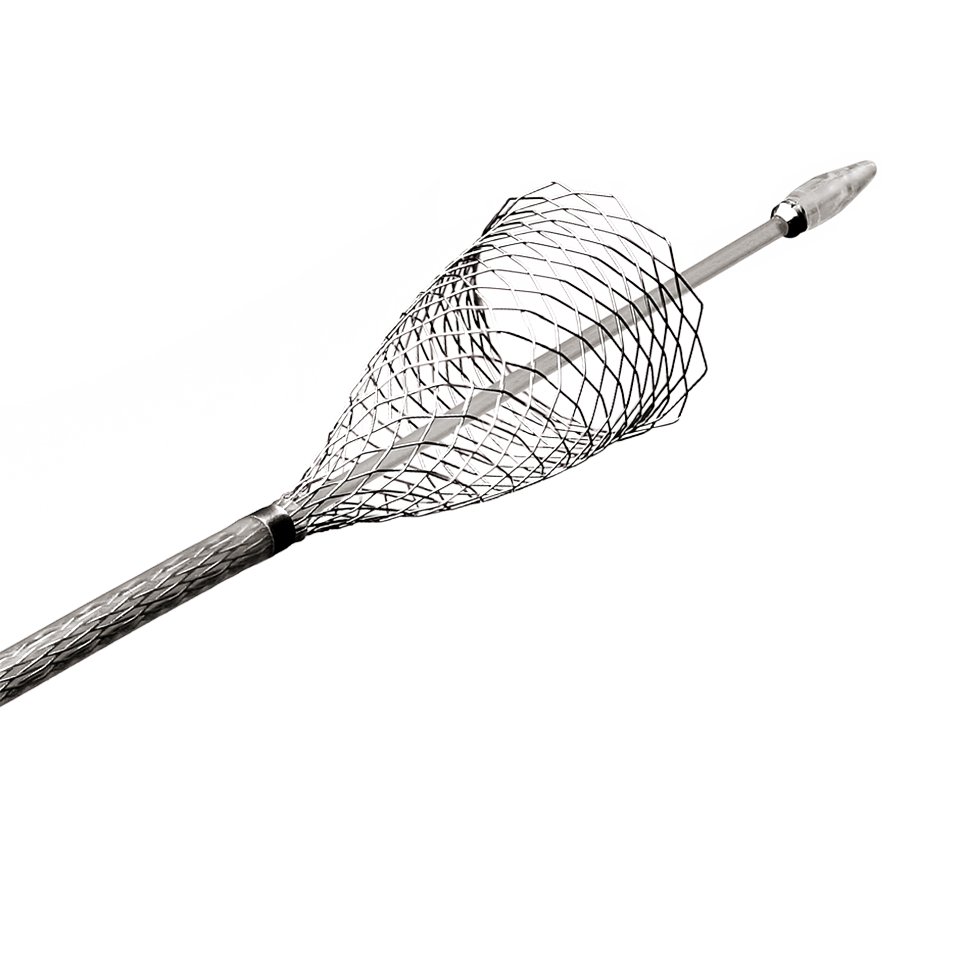 Boston Carotid Wallstent Monorail 8mm x 40mm (H965SCH647080)