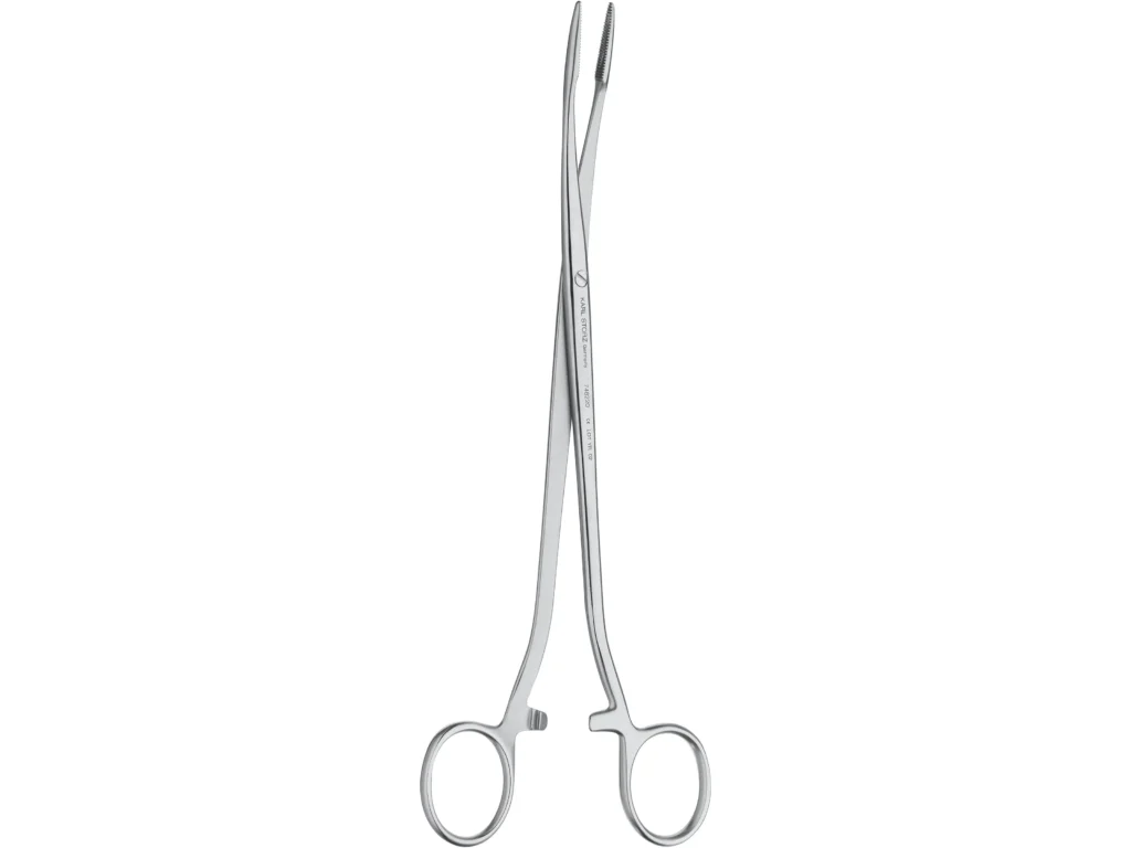 Karl Storz Dressing & Sponge Holding Forceps, 21 cm