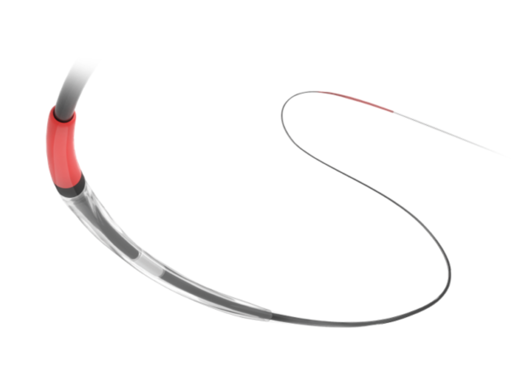 Terumo Ryurei Balloon Dilatation Catheter
