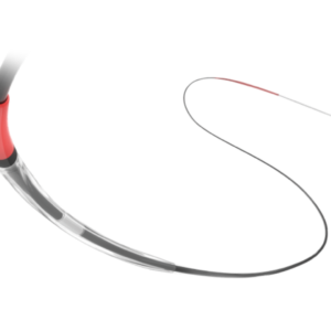 Terumo Ryurei Balloon Dilatation Catheter