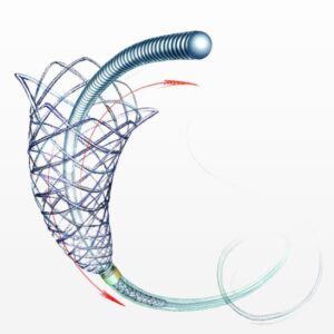 Leo+ Authentic Braided Stent