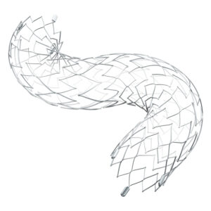Stryker  Neuroform Atlas 3.0x21mm Without Tip   3.0x21mm